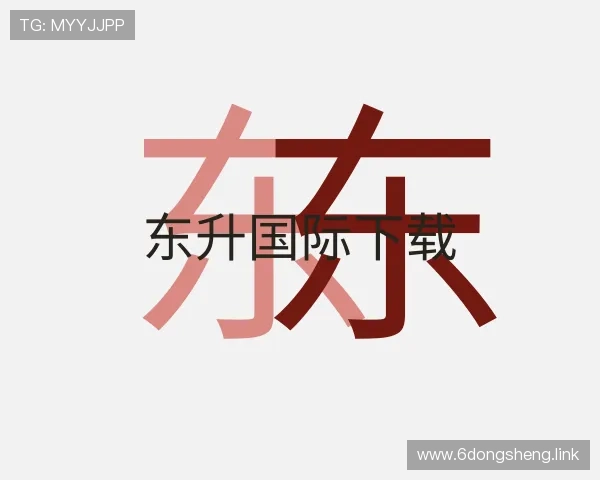 认识东升国际下载